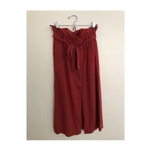 Zara Button-Down Midi Skirt